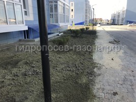 ЖК ВРЕМЕНА ГОДА г. Анапа гидропосев газона