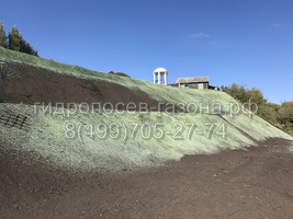 Гидропосев газона в городе Ефремов, Тульская область