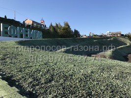 Гидропосев газона в городе Ефремов, Тульская область