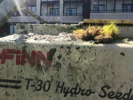 Гидропосев газона в Санкт- Петербурге - ЖК Жемчужный берег