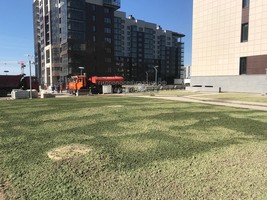Гидропосев газона в Санкт- Петербурге - ЖК Жемчужный берег
