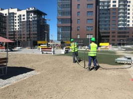 Гидропосев газона в Санкт- Петербурге - ЖК Жемчужный берег