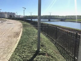 Гидропосев газона в Санкт- Петербурге - ЖК Жемчужный берег