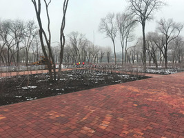 Благоустройство парка вблизи стадиона Ростов- Арена