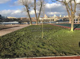 Гидропосев газона в парке у стадиона Ростов Арена, Ростове на Дону